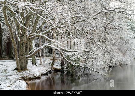 Loch Garten im Schnee. Highlands, Schottland Stockfoto