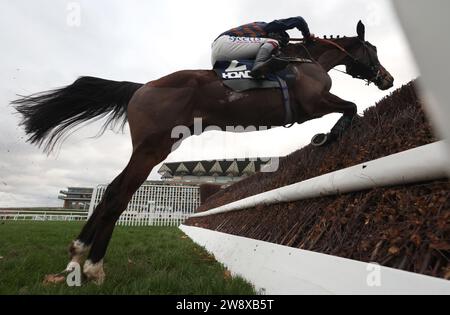 Djeo wurde von Charlie Deutsch während der Howden Noel Novices' Chase am ersten Tag des Howden Christmas Racing Weekend auf der Ascot Racecourse gefahren. Bilddatum: Freitag, 22. Dezember 2023. Stockfoto