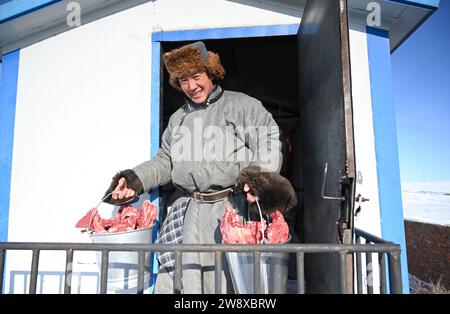 (231222) -- HULUN BUIR, 22. Dezember 2023 (Xinhua) -- Erdendalai nimmt das Rindfleisch zum Mittagessen in Hulun Buir, nordchinesischer autonomer Region Innere Mongolei, 16. Dezember 2023. Der Winter bedeutet normalerweise Herausforderungen für Hirten, die auf dem Grasland leben. Starke Kälte und Schnee beeinflussen immer ihr tägliches Leben. Aber für Erdendalai, einen Hirten, der in Hulun Buir lebt, ist der Winter immer noch eine arbeitsreiche Jahreszeit. Neben der Betreuung von mehr als 200 Rindern, Schafen und Pferden, die er besitzt, genießt Erdendalai auch eine wichtige Aktivität des Pferderennens. Pferde waren schon immer ein zuverlässiges Transportmittel und ein Indisp Stockfoto