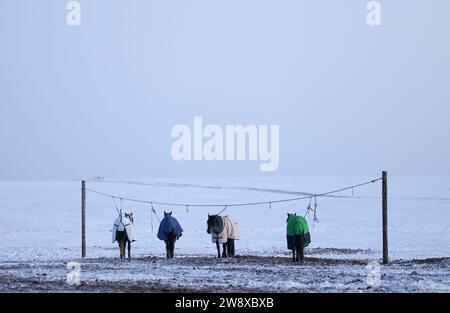 (231222) -- HULUN BUIR, 22. Dezember 2023 (Xinhua) -- die Pferde von Erdendalai sind in Hulun Buir, Nordchinas autonomer Region Innere Mongolei, 16. Dezember 2023 abgebildet. Der Winter bedeutet normalerweise Herausforderungen für Hirten, die auf dem Grasland leben. Starke Kälte und Schnee beeinflussen immer ihr tägliches Leben. Aber für Erdendalai, einen Hirten, der in Hulun Buir lebt, ist der Winter immer noch eine arbeitsreiche Jahreszeit. Neben der Betreuung von mehr als 200 Rindern, Schafen und Pferden, die er besitzt, genießt Erdendalai auch eine wichtige Aktivität des Pferderennens. Pferde waren schon immer ein zuverlässiges Transportmittel und unverzichtbar Stockfoto