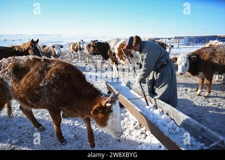 (231222) -- HULUN BUIR, 22. Dezember 2023 (Xinhua) -- Erdendalai räumt Eiswürfel im Waschbecken in Hulun Buir, nordchinesischer Autonomer Region Innere Mongolei, 16. Dezember 2023. Der Winter bedeutet normalerweise Herausforderungen für Hirten, die auf dem Grasland leben. Starke Kälte und Schnee beeinflussen immer ihr tägliches Leben. Aber für Erdendalai, einen Hirten, der in Hulun Buir lebt, ist der Winter immer noch eine arbeitsreiche Jahreszeit. Neben der Betreuung von mehr als 200 Rindern, Schafen und Pferden, die er besitzt, genießt Erdendalai auch eine wichtige Aktivität des Pferderennens. Pferde waren schon immer ein zuverlässiges Transportmittel und ein Indisp Stockfoto