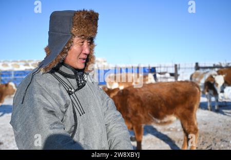 (231222) -- HULUN BUIR, 22. Dezember 2023 (Xinhua) -- Erdendalai schaut sich sein Vieh zu Hause in Hulun Buir an, nordchinesischer autonomer Region Innere Mongolei, 16. Dezember 2023. Der Winter bedeutet normalerweise Herausforderungen für Hirten, die auf dem Grasland leben. Starke Kälte und Schnee beeinflussen immer ihr tägliches Leben. Aber für Erdendalai, einen Hirten, der in Hulun Buir lebt, ist der Winter immer noch eine arbeitsreiche Jahreszeit. Neben der Betreuung von mehr als 200 Rindern, Schafen und Pferden, die er besitzt, genießt Erdendalai auch eine wichtige Aktivität des Pferderennens. Pferde waren schon immer ein zuverlässiges Transportmittel und ein muss Stockfoto