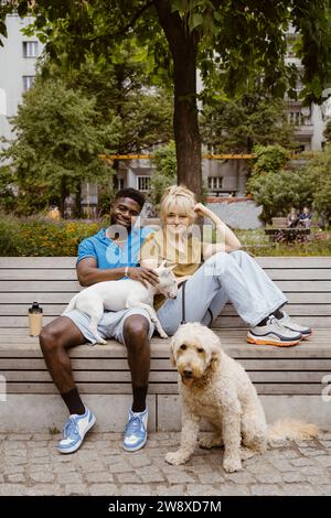 Porträt eines lächelnden Mannes und einer Frau, die mit Hunden auf einer Bank im öffentlichen Park sitzen Stockfoto