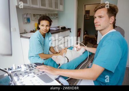 Junge Krankenschwester, die männlichen Tierarzt beim Ultraschall am Hund in der medizinischen Klinik unterstützt Stockfoto