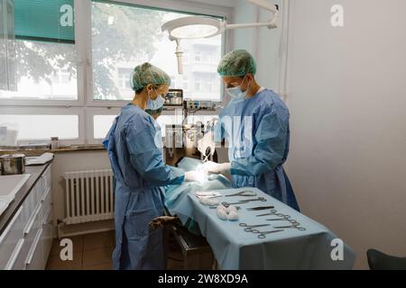 Chirurgen und Chirurgen im Operationssaal des Tierhauses Stockfoto