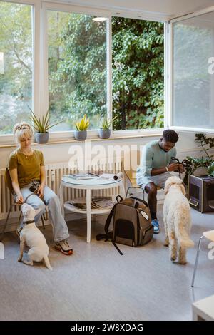 Mann und Frau sitzen auf Stühlen, während sie mit Hunden im Tierheim warten Stockfoto