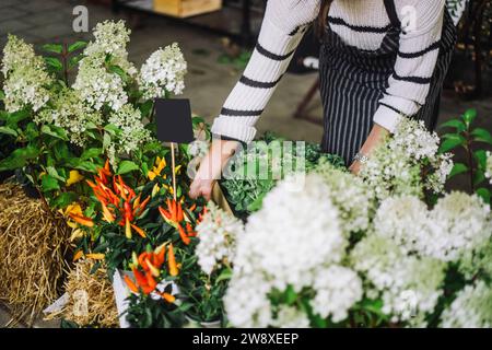 Mitte des Blumenhandels, der Chili-Pfeffer-Pflanzen und -Blumen am Stand auf dem Flohmarkt anordnet Stockfoto