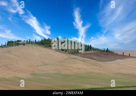 Asciano, Zypressen und sanften Hügeln. Crete Senesi, Toskana, Italien Stockfoto