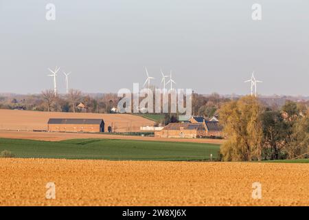 Landwirtschaftliche Landschaft an einem Frühlingsmorgen. Windturbinen am Horizont Stockfoto