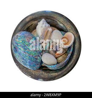 Muscheln auf einer italienischen antiken Silberplatte, Komposition Stockfoto