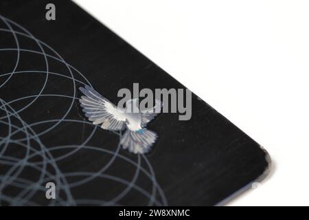 Das neue Taubenflughologramm, das Taubenflughologramm, das auf allen VISAKARTEN basiert, ist ein Sicherheitsmerkmal. Stockfoto
