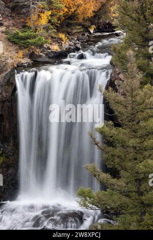 Undine fällt im Herbst im Yellowstone-Nationalpark Stockfoto