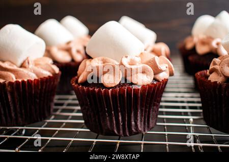 Cupcakes mit heißem Kakaogeschmack und Riesenmarshmallows: Schokoladen-Cupcakes mit Zuckerguss mit heißem Schokoladengeschmack und Marshmallow-Beilage Stockfoto