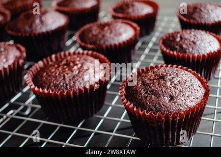 Frisch gebackene Schokoladen-Cupcakes auf einem Kühlregal: Nahaufnahme hausgemachter Schokoladen-Cupcakes, die auf einem Drahtgestell abkühlen Stockfoto