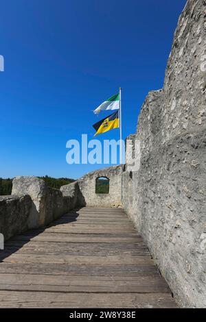 Derneck Castle, mittelalterliche Burgruine, Holzboden, Mauerwerk, Stein, blauer Himmel, Degeneck, Flaggen, Schildmauer Schloss in Sporenposition vom 14 Stockfoto