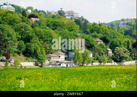 DEU sachsen elbe Sylvio Dittrich Foto gegen Gebühr! Kontakt T.:01772156417 Blick auf die Elbhänge Stockfoto