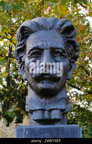 Dr. Ludwig Philip Albert Schweitzer, Büste, Münster, Westfalen, Nordrhein-Westfalen, Deutschland Stockfoto