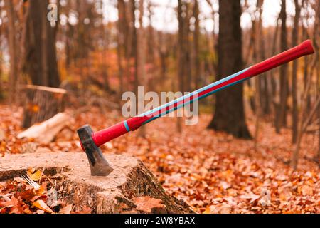 Eine Axt, die im Herbst in Baumstumpf steckt, mit gehacktem Wald und Holz dahinter Stockfoto