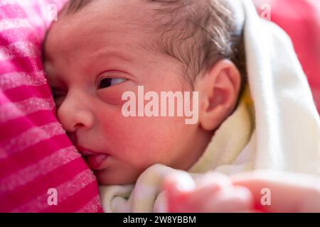 Mutter kuschelt ihr Neugeborenes mit einem Lächeln auf den Gesichtern und einem entzückenden Blick auf das Babygesicht Stockfoto