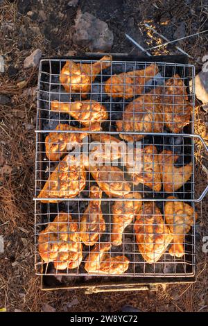 Gebratene Hühner auf Spieß, über Feuer gegrillt. Stockfoto