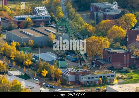 Aus der Vogelperspektive, Industriedenkmal Hansa Kokerei mit gewundenem Turm, umgeben von herbstlichen Laubbäumen, Huckarde, Dortmund, Ruhrgebiet, Nord-R Stockfoto