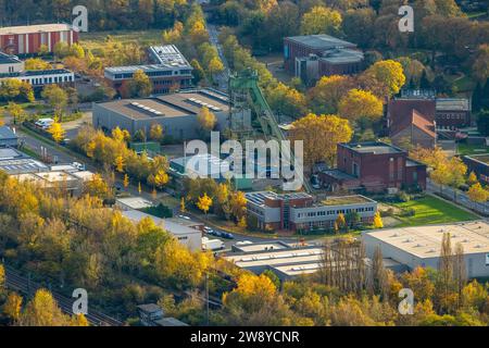 Aus der Vogelperspektive, Industriedenkmal Hansa Kokerei mit gewundenem Turm, umgeben von herbstlichen Laubbäumen, Huckarde, Dortmund, Ruhrgebiet, Nord-R Stockfoto