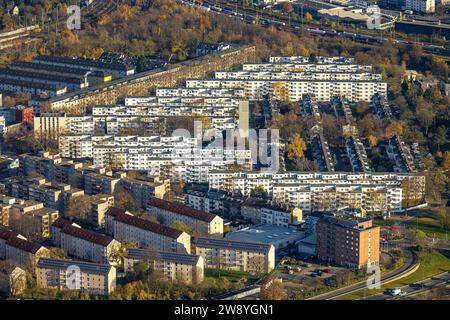 Blick aus der Vogelperspektive, Reihenhaus Wohnsiedlung im Stadtteil Veedel Buchforst, umgeben von herbstlichen Laubbäumen, Buchforst, Köln, Rheinland, Stockfoto