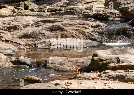 Fließendes Wasser in einem Bach Stockfoto