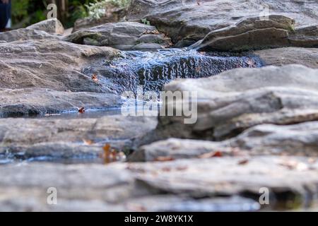 Fließendes Wasser in einem Bach Stockfoto