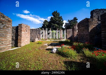 Ruinen der Casa del Gallo in der archäologischen Stätte von Pompeji, einer antiken Stadt, die durch den Ausbruch des Vesuv im Jahr 79 n. Chr. zerstört wurde. Stockfoto