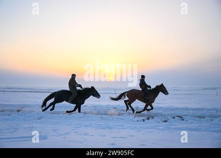 Peking, Chinas autonome Region Innere Mongolei. Dezember 2023. Hirten trainieren Pferde auf der Weide in Hulun Buir, nordchinesischer autonomer Region Innere Mongolei, 15. Dezember 2023. Quelle: Bei He/Xinhua/Alamy Live News Stockfoto