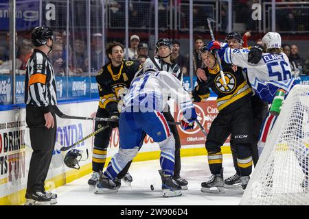 Rochester, New York, USA. Dezember 2023. Rochester-Amerikaner und Providence Bruins-Spieler kämpfen in der dritten Periode. Die Rochester Americans veranstalteten die Providence Bruins in einem Spiel der American Hockey League in der Blue Cross Arena in Rochester, New York. (Jonathan Tenca/CSM). Quelle: csm/Alamy Live News Stockfoto