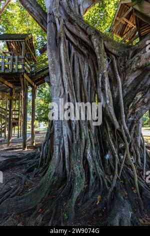 Columbus Park Parque de Colon am Ufer von Aguadilla. Dieser kleine Park bietet etwas für jeden in der Familie - eine hölzerne Promenade über dem Looki Stockfoto