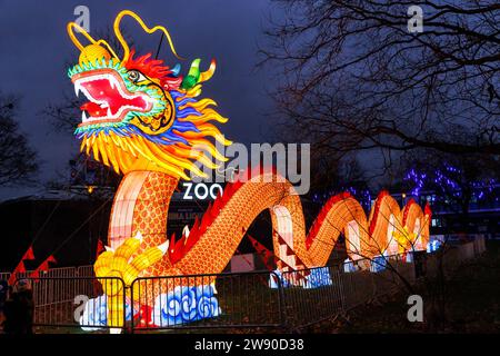 Ein großer beleuchteter Drache wirbt für das China Lights Festival im Kölner Zoo. ###NUR REDAKTIONELLE VERWENDUNG### ein grosseres Beleuchtungsgerät D Stockfoto