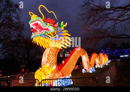 Ein großer beleuchteter Drache wirbt für das China Lights Festival im Kölner Zoo. ###NUR REDAKTIONELLE VERWENDUNG### ein grosseres Beleuchtungsgerät D Stockfoto