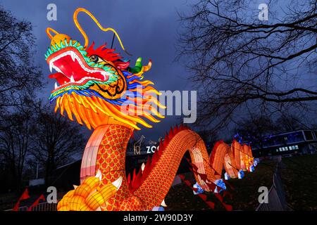 Ein großer beleuchteter Drache wirbt für das China Lights Festival im Kölner Zoo. ###NUR REDAKTIONELLE VERWENDUNG### ein grosseres Beleuchtungsgerät D Stockfoto