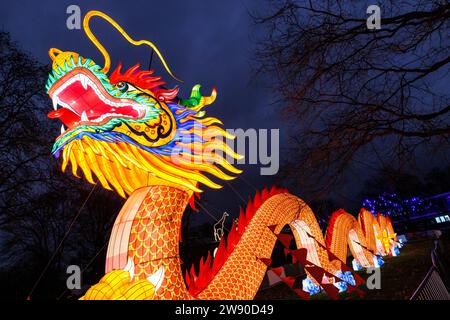 Ein großer beleuchteter Drache wirbt für das China Lights Festival im Kölner Zoo. ###NUR REDAKTIONELLE VERWENDUNG### ein grosseres Beleuchtungsgerät D Stockfoto