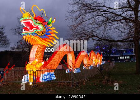 Ein großer beleuchteter Drache wirbt für das China Lights Festival im Kölner Zoo. ###NUR REDAKTIONELLE VERWENDUNG### ein grosseres Beleuchtungsgerät D Stockfoto