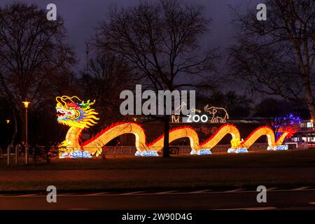 Ein großer beleuchteter Drache wirbt für das China Lights Festival im Kölner Zoo. ###NUR REDAKTIONELLE VERWENDUNG### ein grosseres Beleuchtungsgerät D Stockfoto