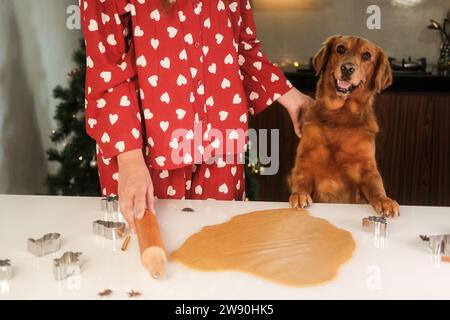 Eine junge Frau steht neben ihrem goldenen Retriever-Hund in der Küche. Stockfoto