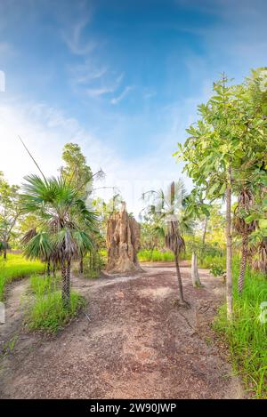 Ein Termitenhügel der Kathedrale im Litchfield National Park, Northern Territory, Australien. Stockfoto