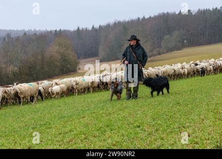 Langenenslingen, Deutschland. Dezember 2023. Schäferhund Markus Rehm geht mit seinen Schafen, zwei Hunden und einem Esel im Regen von der Schwäbischen Alb hinunter nach Oberschwaben. Der Hirte ist auch mit seiner Schafherde in Oberschwaben am Heiligabend und über die Weihnachtsfeiertage unterwegs. Autor: Thomas Warnack/dpa/Alamy Live News Stockfoto