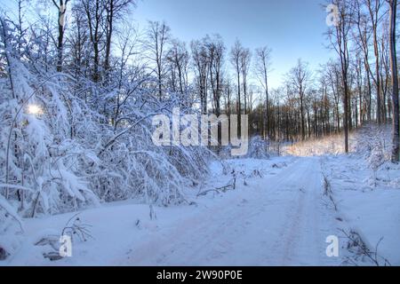 Winterbilder aus dem Teutoburger Wald Stockfoto