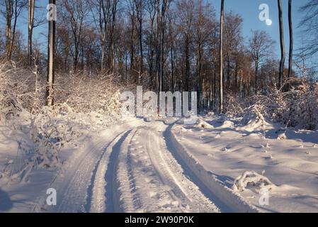 Winterbilder aus dem Teutoburger Wald Stockfoto