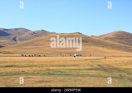 Riesige kirgisische Steppe in der Nähe des Songkol-Sees. Berge im Hintergrund in Kirgisistan Stockfoto