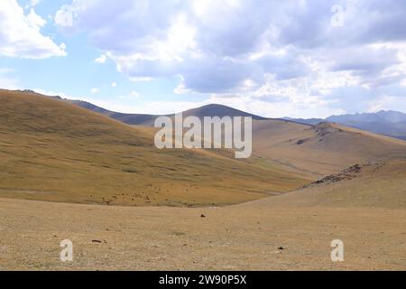 Riesige kirgisische Steppe in der Nähe des Songkol-Sees. Berge im Hintergrund in Kirgisistan Stockfoto