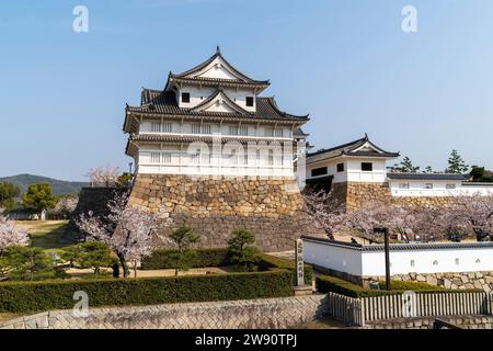 Schloss Fukuyama, Japan. Eine Reihe von Kirschblüten hinter einer weißen Gipswand mit dem Haupttor und dem Turm Fushimi Yagura im Frühling. Blauer Himmel. Stockfoto