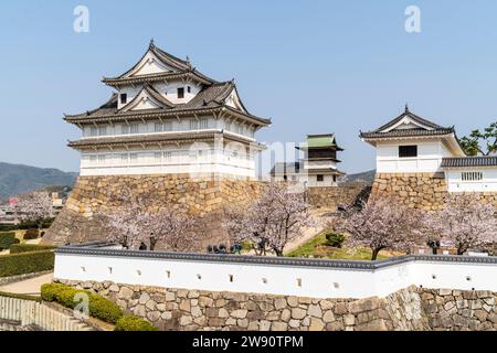 Schloss Fukuyama. Eine Reihe Kirschblüten hinter einer weißen Gipswand mit dem Haupttor, dem Fushimi Yagura, dem Turm und dem Shorou Glockenturm. Stockfoto