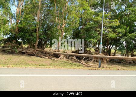 Cairns, Australien. Dezember 2023. Am 21. Dezember 2023 säumen Trümmer und Steinbäume den Captain Cook Highway, da die Säuberung vier Tage nach der Überschwemmung vieler Teile von Cairns fortgesetzt wird. Solche weit verbreiteten großen Überschwemmungen in Cairns sind in der Geschichte nicht bekannt. (Foto: Joshua Prieto/SIPA USA) Credit: SIPA USA/Alamy Live News Stockfoto