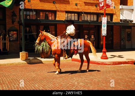 Ein Reiter patrouilliert in den ft Worth Stock Yards in Texas Stockfoto